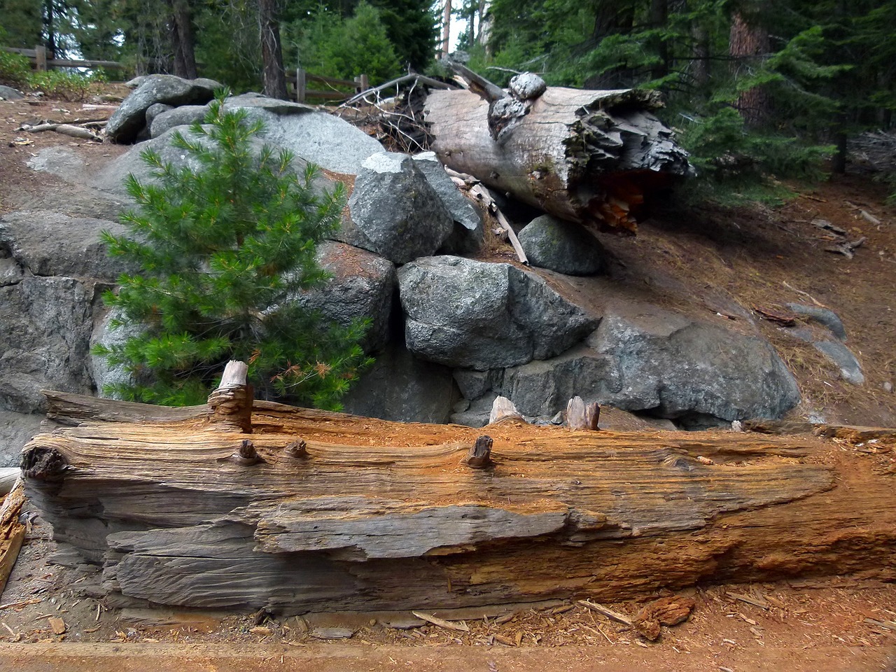 The Untouched Beauty of the United States’ Sequoia National Park